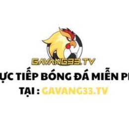 bóng đá gà vàng chấm linh
