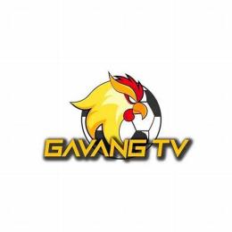 bóng đá gà vàng tv hôm nay