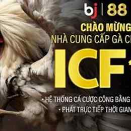 cá cược đá gà trực tiếp m88