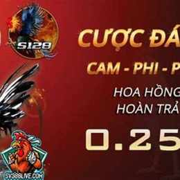 cách đăng ký đá gà trực tiếp thomo