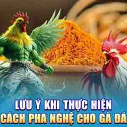 cách pha nghệ cho gà đá