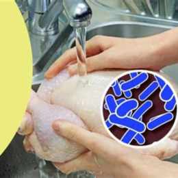 cách rửa gà chọi khi đá