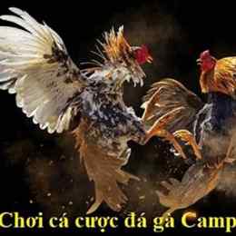 campuchia đá gà campuchia