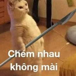 cấp 2 giờ đã địt nhau như gà
