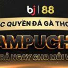 casino đá gà trực tiếp