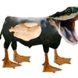 chân vịt thịt gà da trâu đầu rắn là con gì
