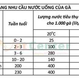 chế độ nuôi gà đá