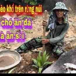 chó ăn đá gà ăn muối