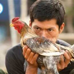 chon ga da hay tu nho