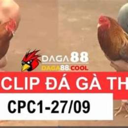 clip da ga campuchia