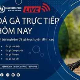 coi da ga 2017
