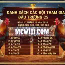 coi giải gà đá