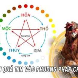 coi màu mạng gà đá