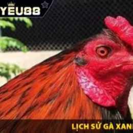 con gà xanh trích đá