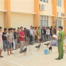công an thanh hoá bắt đá gà