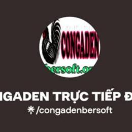congaden đá gà trực tiếp