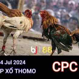 cpc1 đá gà