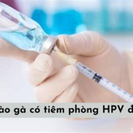 đã bị sùi mào gà có tiêm phòng hpv được không