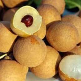 da cóc mà bọc bột lọc bột lọc mà bọc trứng gà
