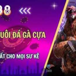 đá gà 168