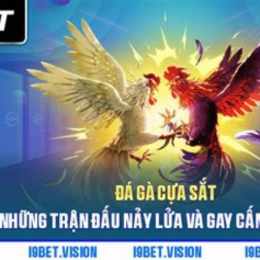 đá gà 18/9/2022