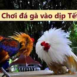 da ga 24/6/2024