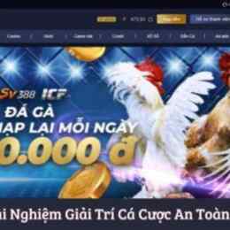 đá gà 26/5