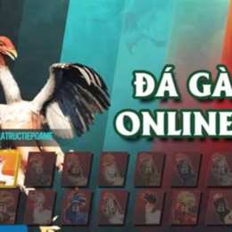 đá gà 367