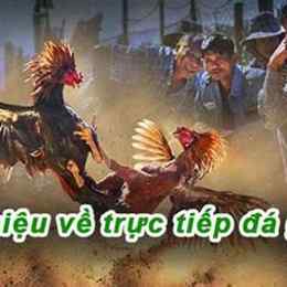 da ga 67 com