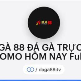 đá gà 88 c5 hôm nay