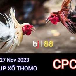 đá gà 88 campuchia