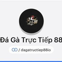 đá gà 88 services