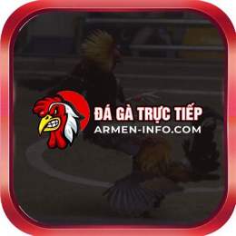 đá gà 88 thomo hôm nay
