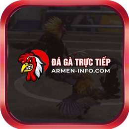 đá gà 88 trực tiếp hôm nay