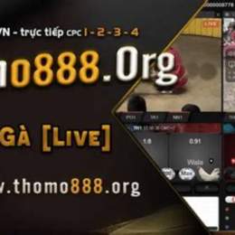 da ga 888 net
