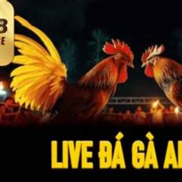 đá gà 88aa