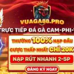 đá gà 88b