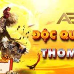 đá gà ae888 trực tiếp