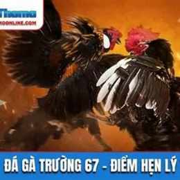 đá gà anh em 888