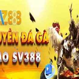 đá gà az 888