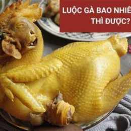 da ga bao si ting