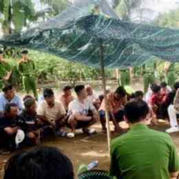 đá gà báo xì tin mới nhất
