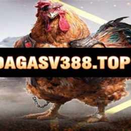 đa ga baosting