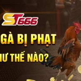 đá gà bị phạt như thế nào