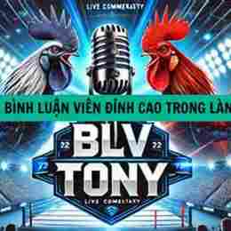 đá gà bình luận viên hàng ngày