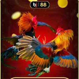 đá gà bj 888
