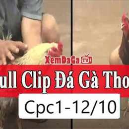 đá gà bồ campuchia