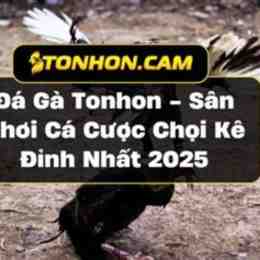 da ga bo ton hon