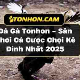 da ga bo tonhon
