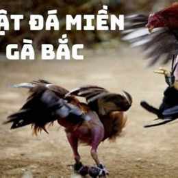 da ga c1c2c3